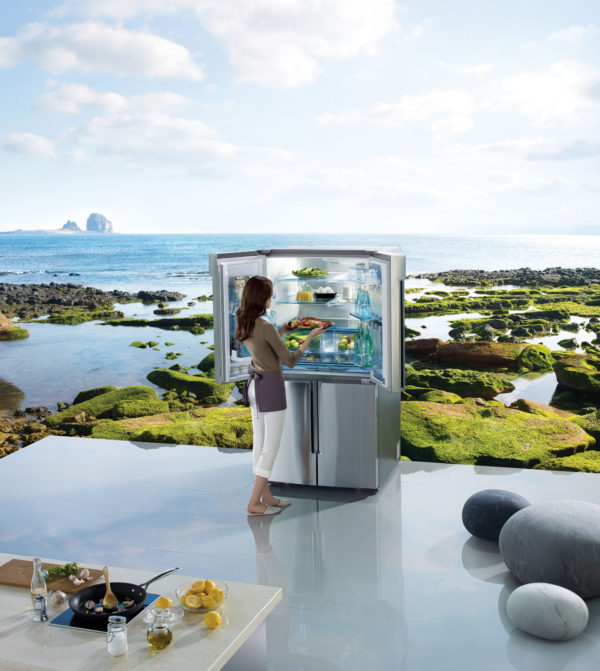 Samsung Zipel Refrigerator