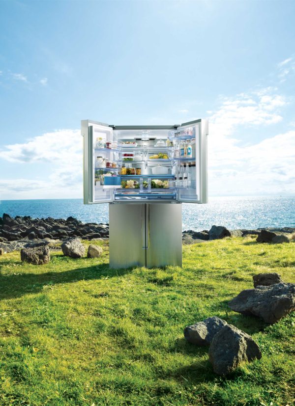 Samsung Zipel Refrigerator